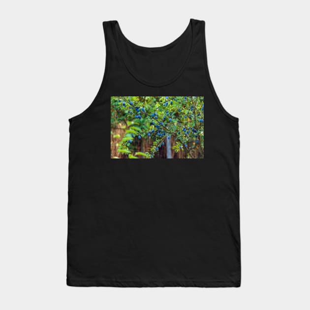 Plum tree in an orchard Tank Top by naturalis